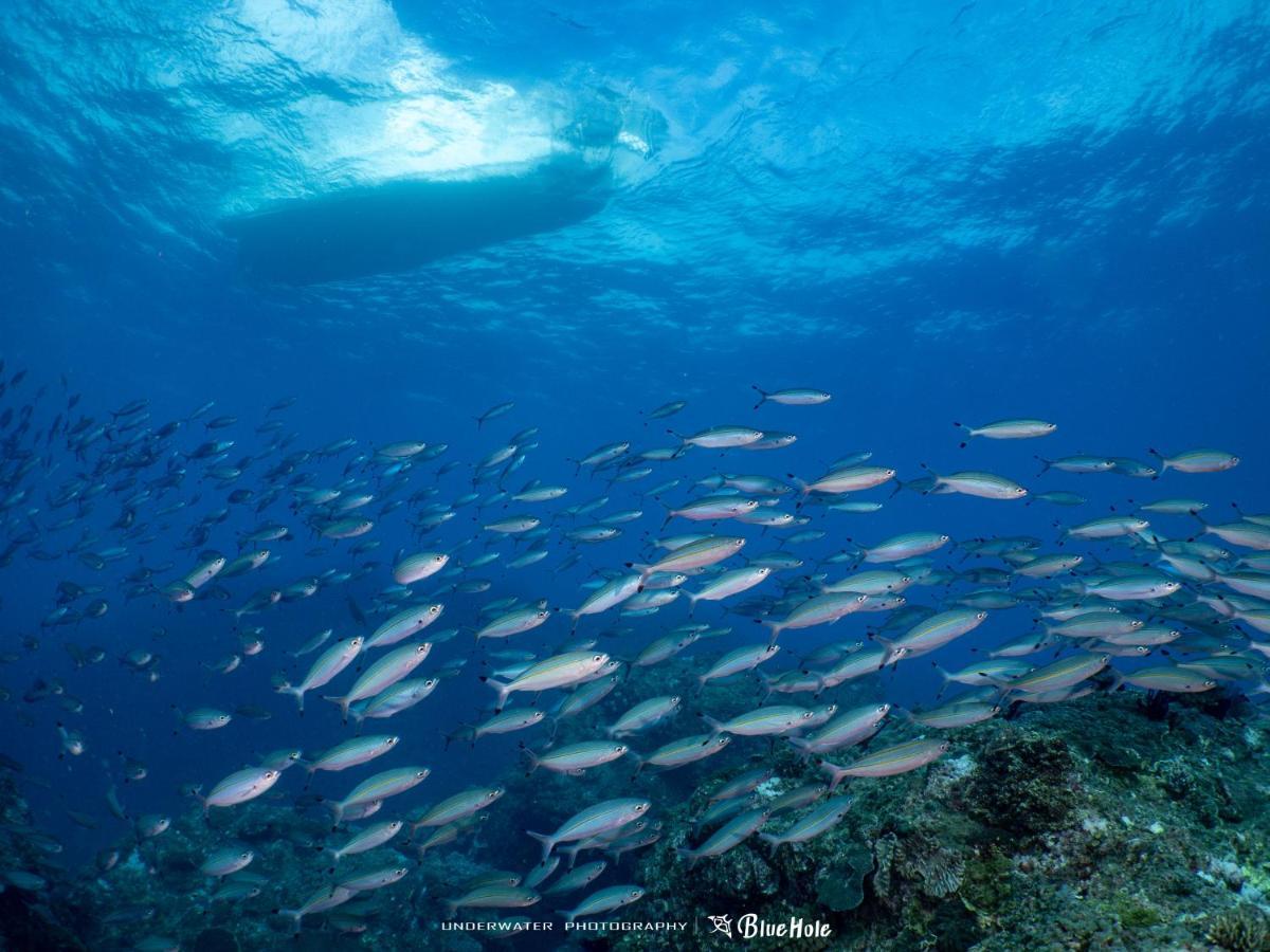 Bed and Breakfast 藍洞潛水blue Hole Dive Center Heng-ch'un Exterior foto